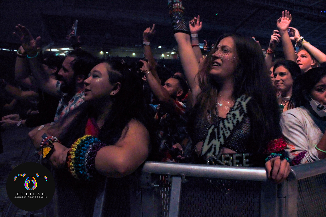 Photography by Delilah Bestler of headbangers in the crowd
