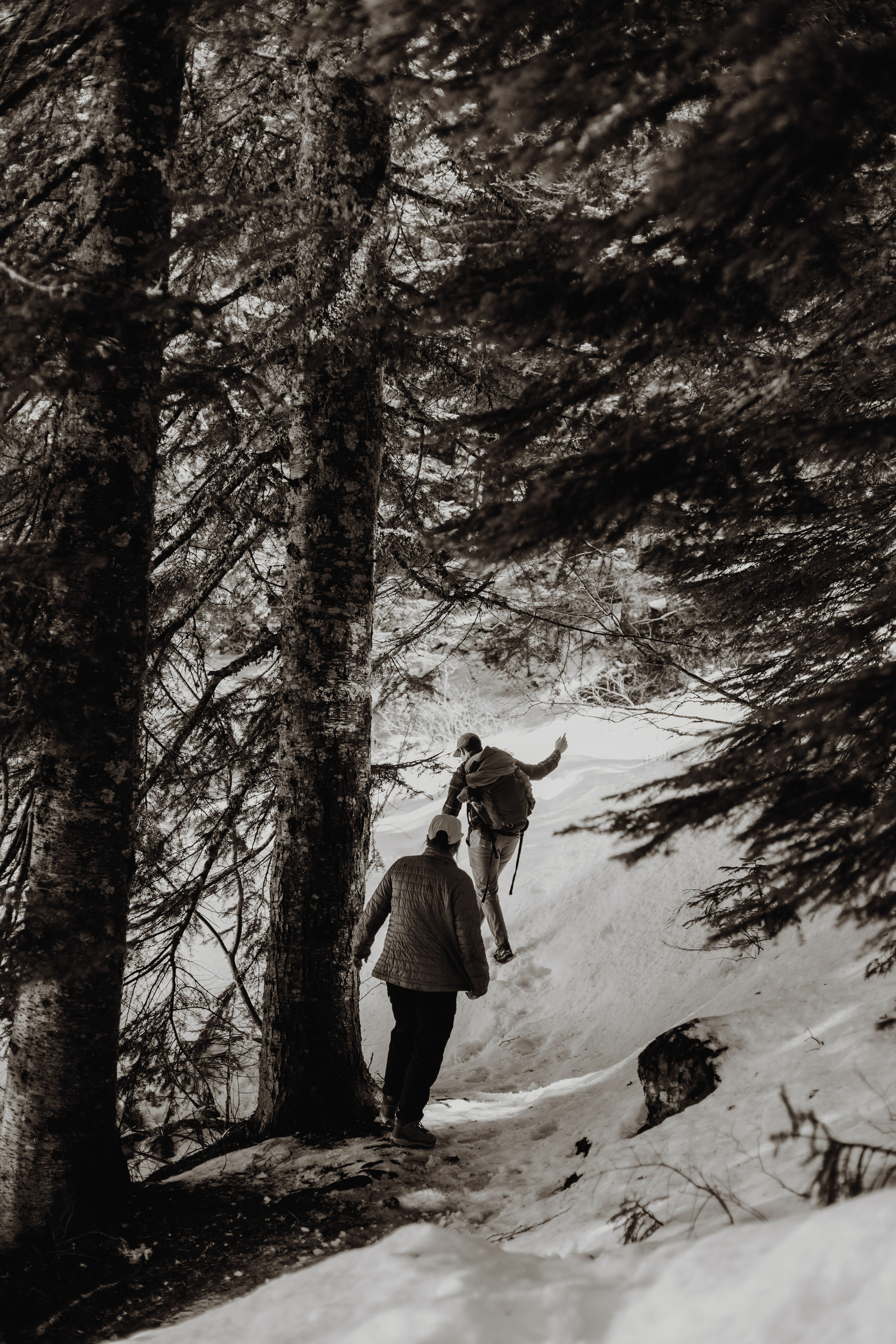 Mount Hood Engagement Session 
