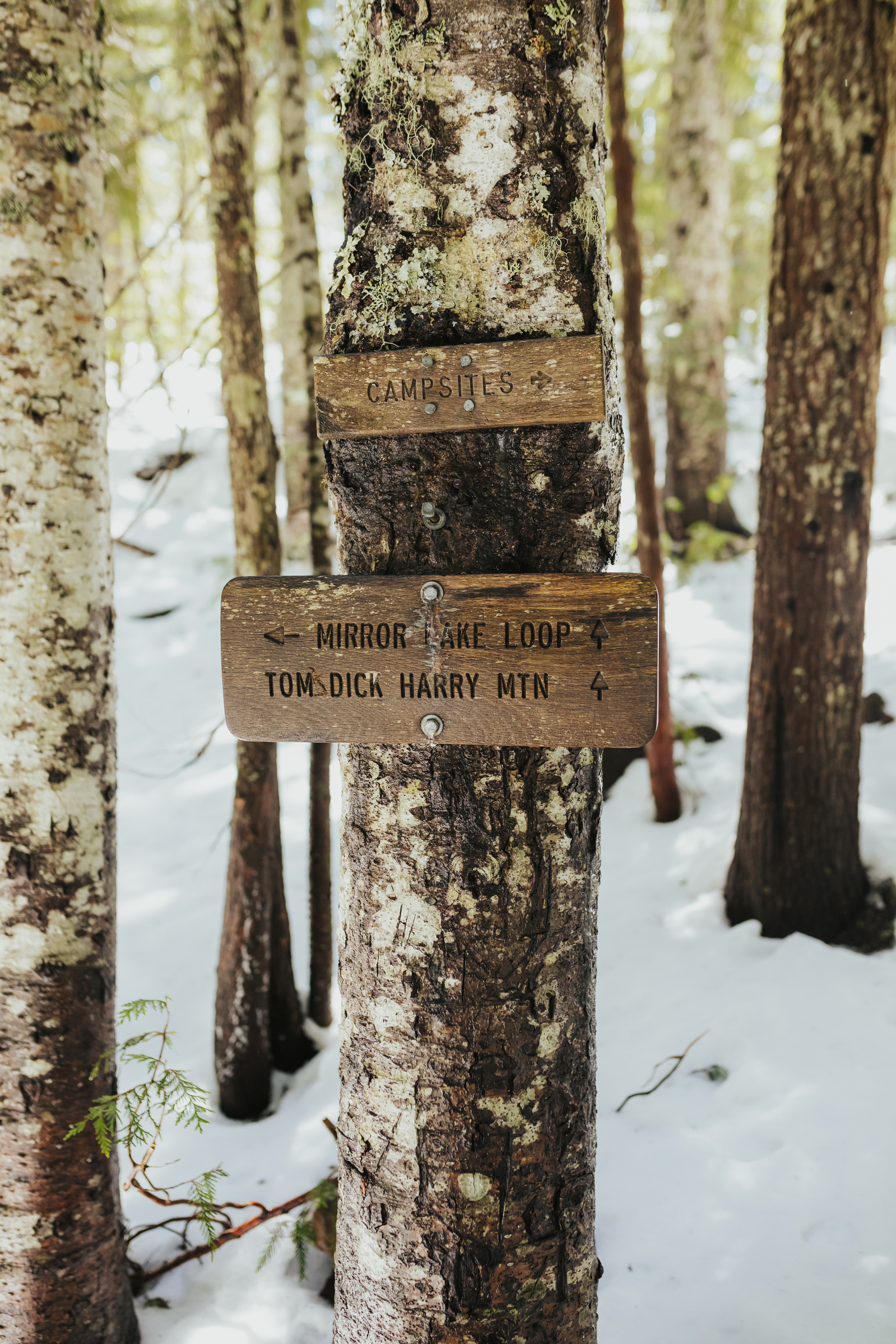 Mount Hood Engagement Photos 