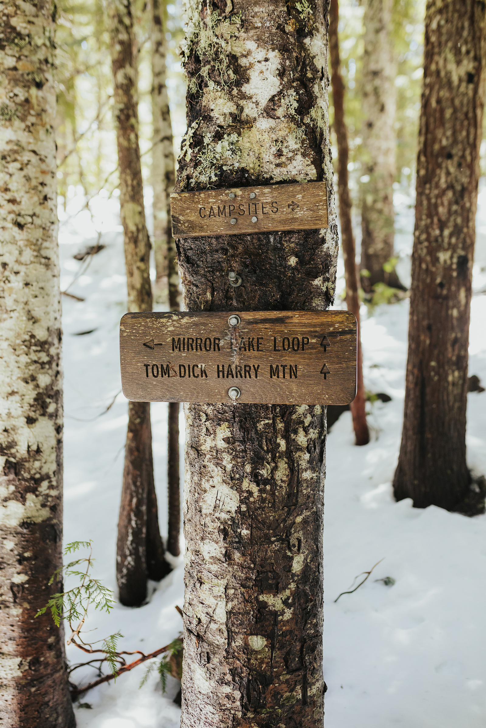 Mount Hood Engagement Photos 