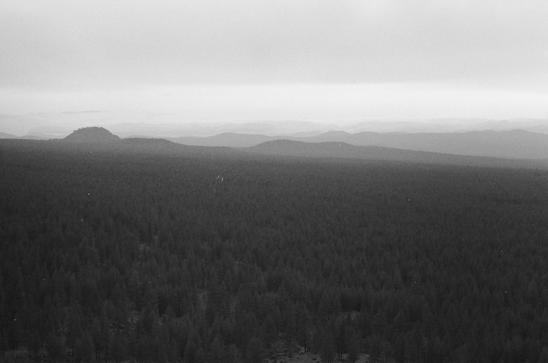 Bend Oregon engagement session on Bessie Butte 