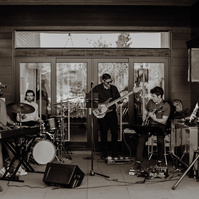 live band backyard wedding