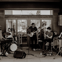 live band backyard wedding