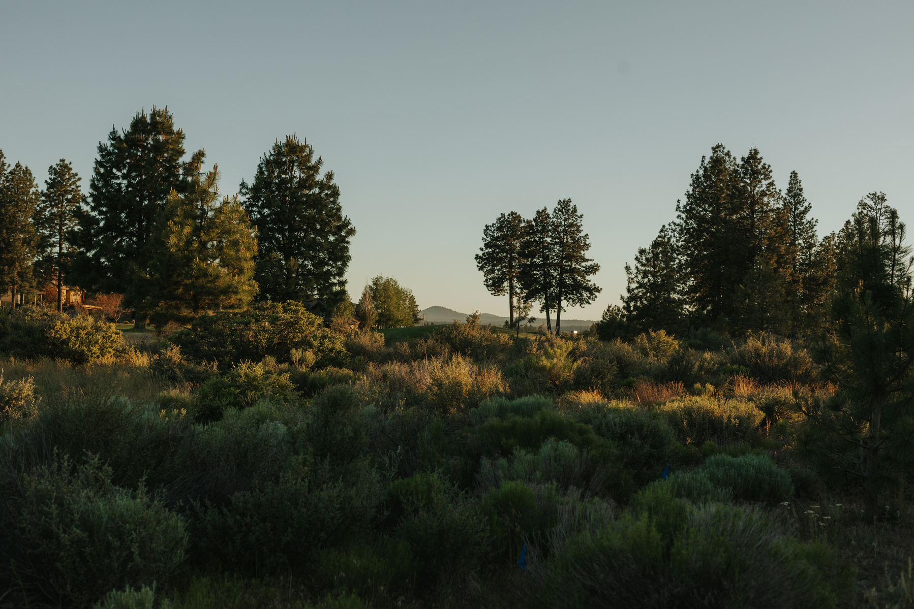 Bend Oregon wedding photographer