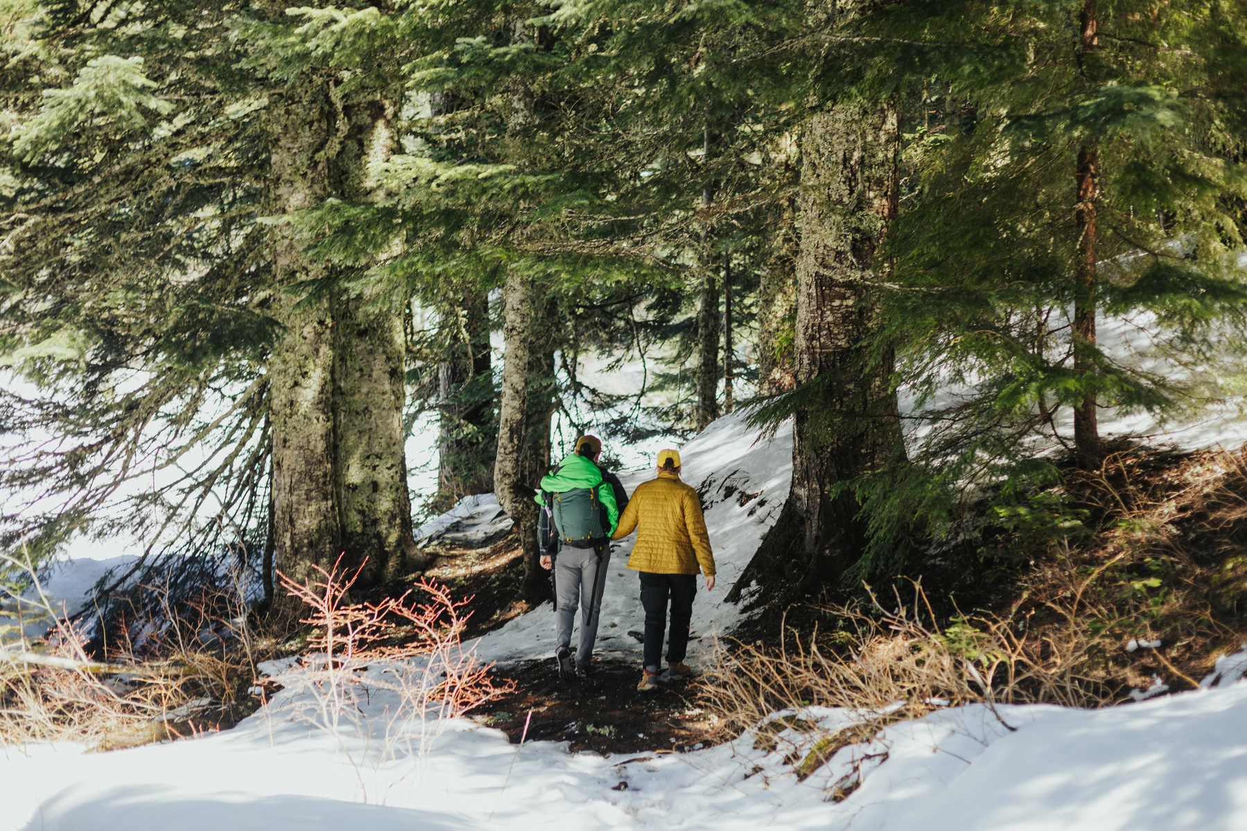 Mount Hood Proposal Photos 
