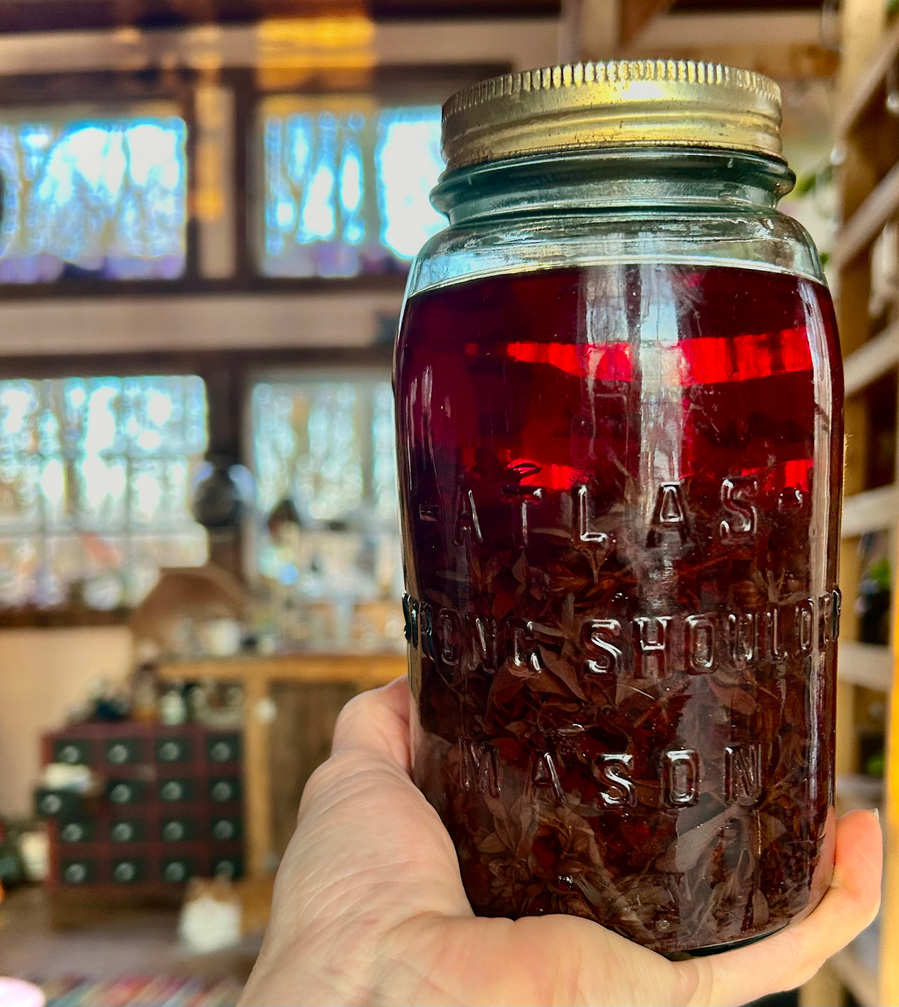 Hypericum St John's/Joan's Wort tincture made from fresh flowering tops and 100 proof alcohol spirits 