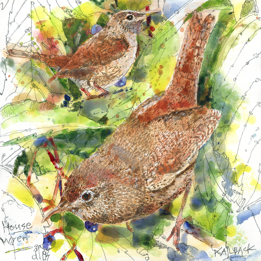 Watercolor illustration of House Wren by Jerry Kalback Illustration