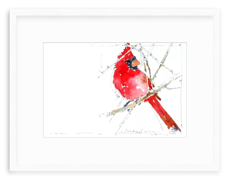 Watercolor illustration of a cardinal by Jerry Kalback