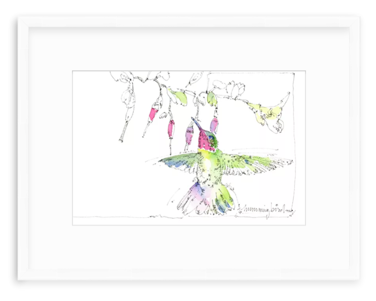 Watercolor illustration of a hummingbird by Jerry Kalback