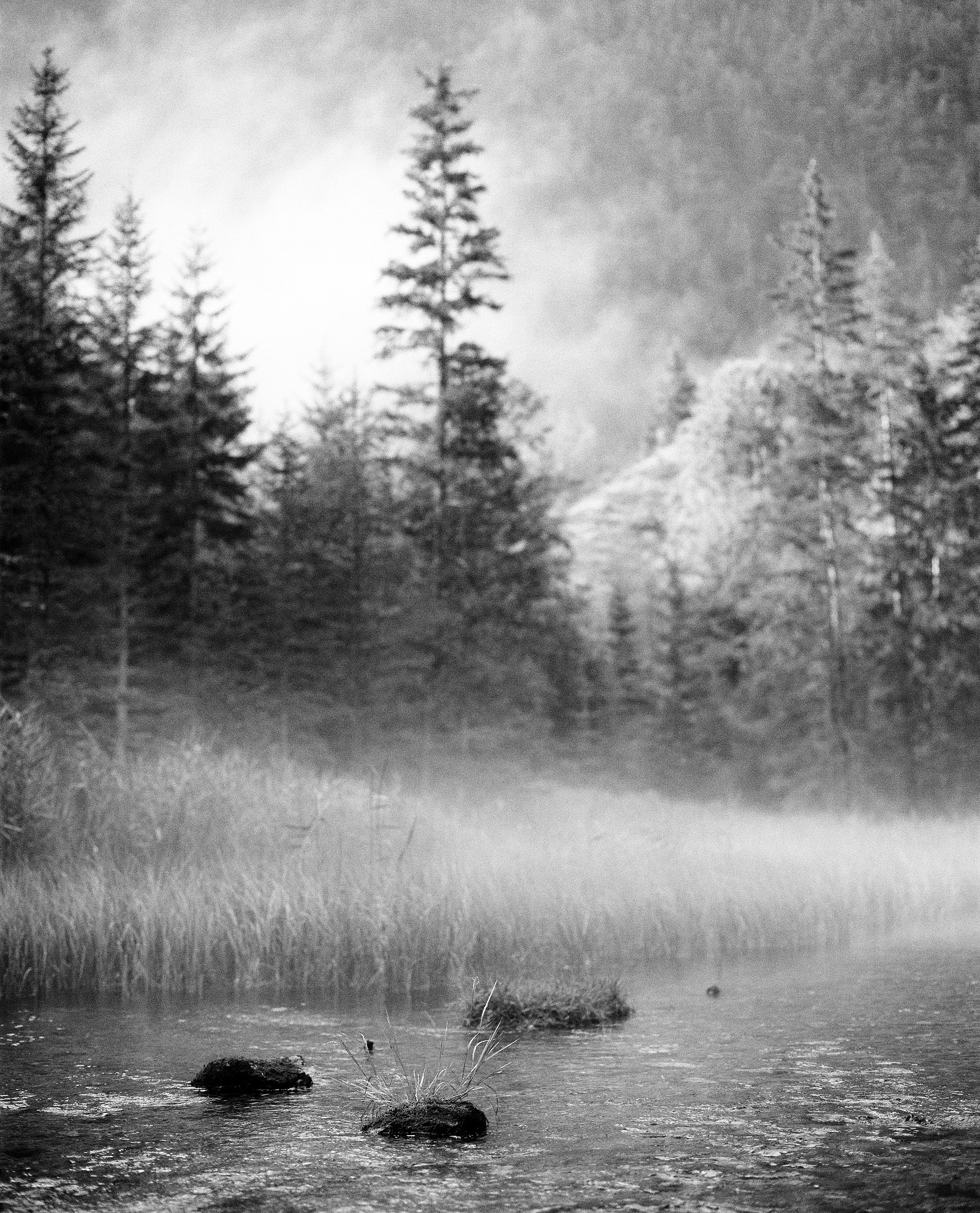 Black and white medium format photo of the Liosachquelle in Austria.The mist wafts over the spring and the Alps can be seen in the background. Shot on Ilford Kentmere 100.