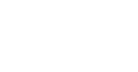 VISCERAL VISUAL SHOTS