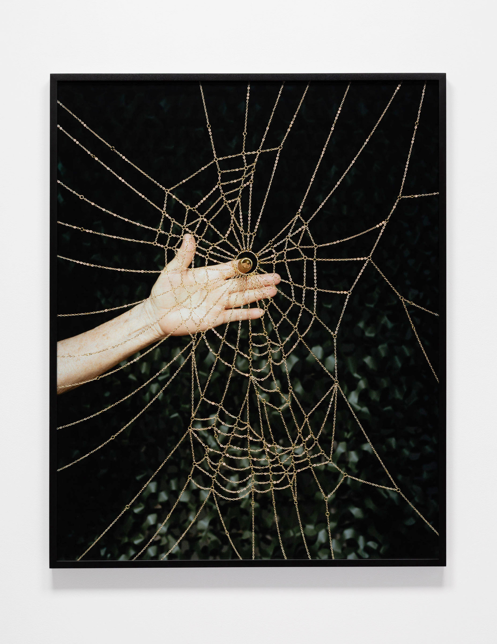 A Different Speed, 2025. Archival pigment print. 51 x 41 inches (framed).