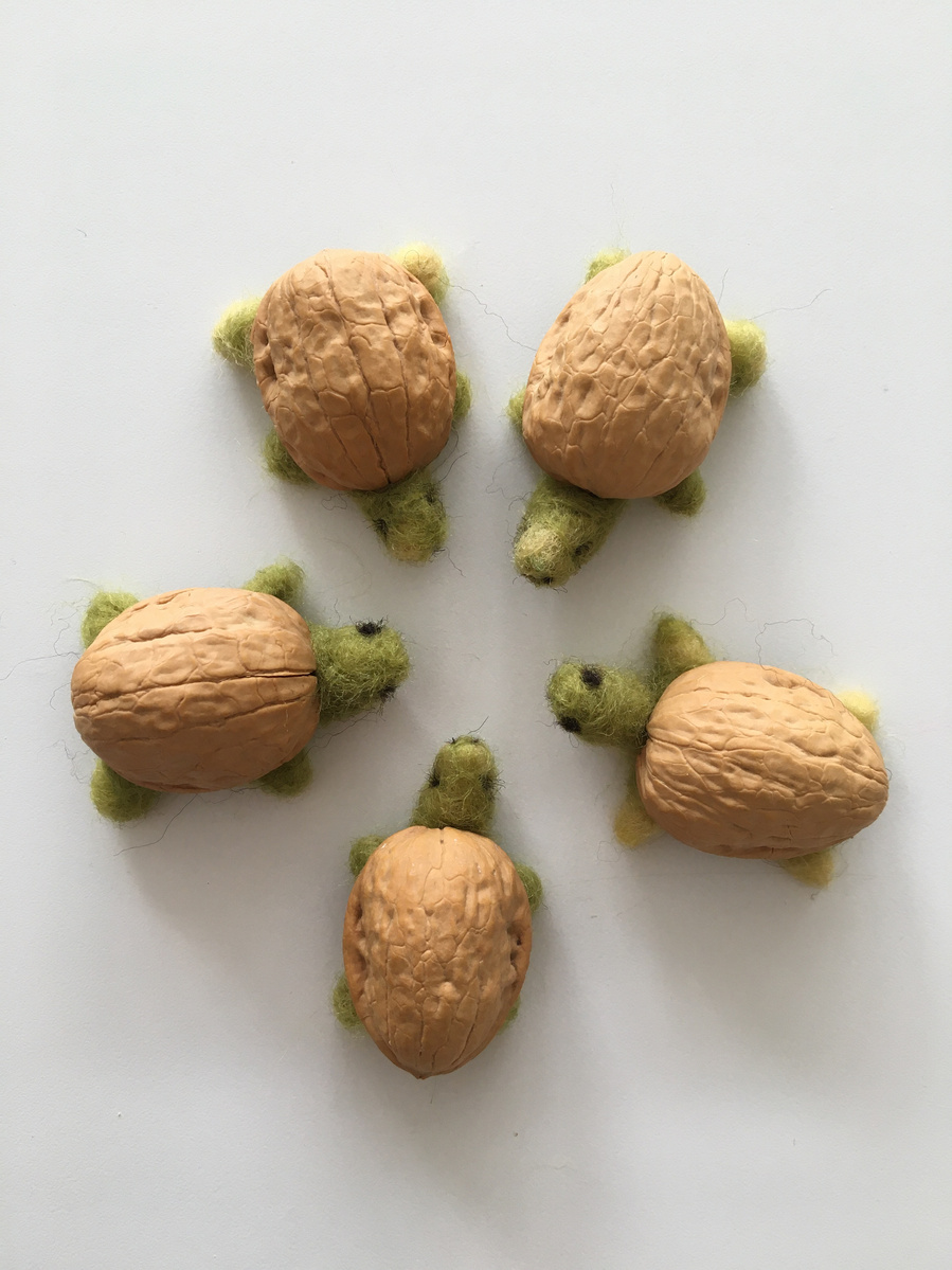Walnut turtles Claudine Crangle
