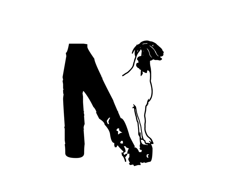 NISSHOOTS