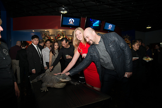 Mobile zoo alligator at a company event