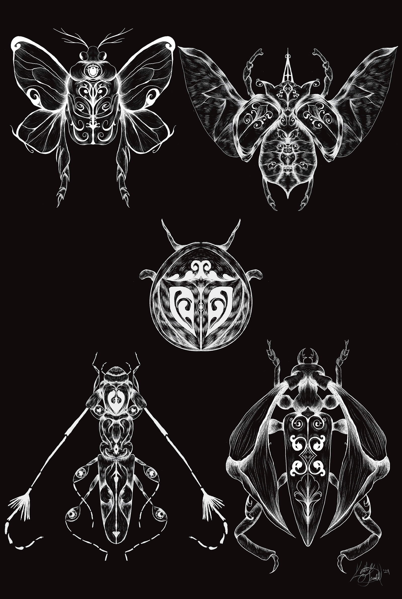 A collection of filigree beetles