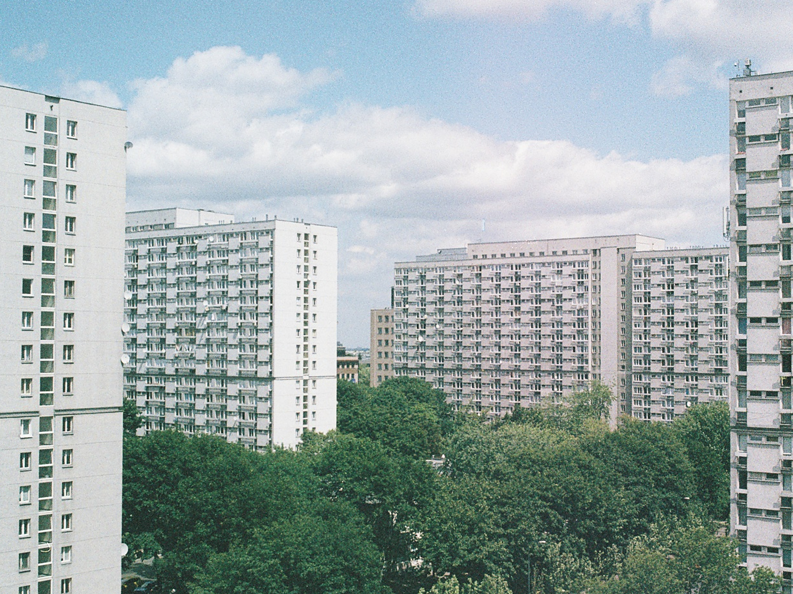Temporary Views - Dahlia Ayoub