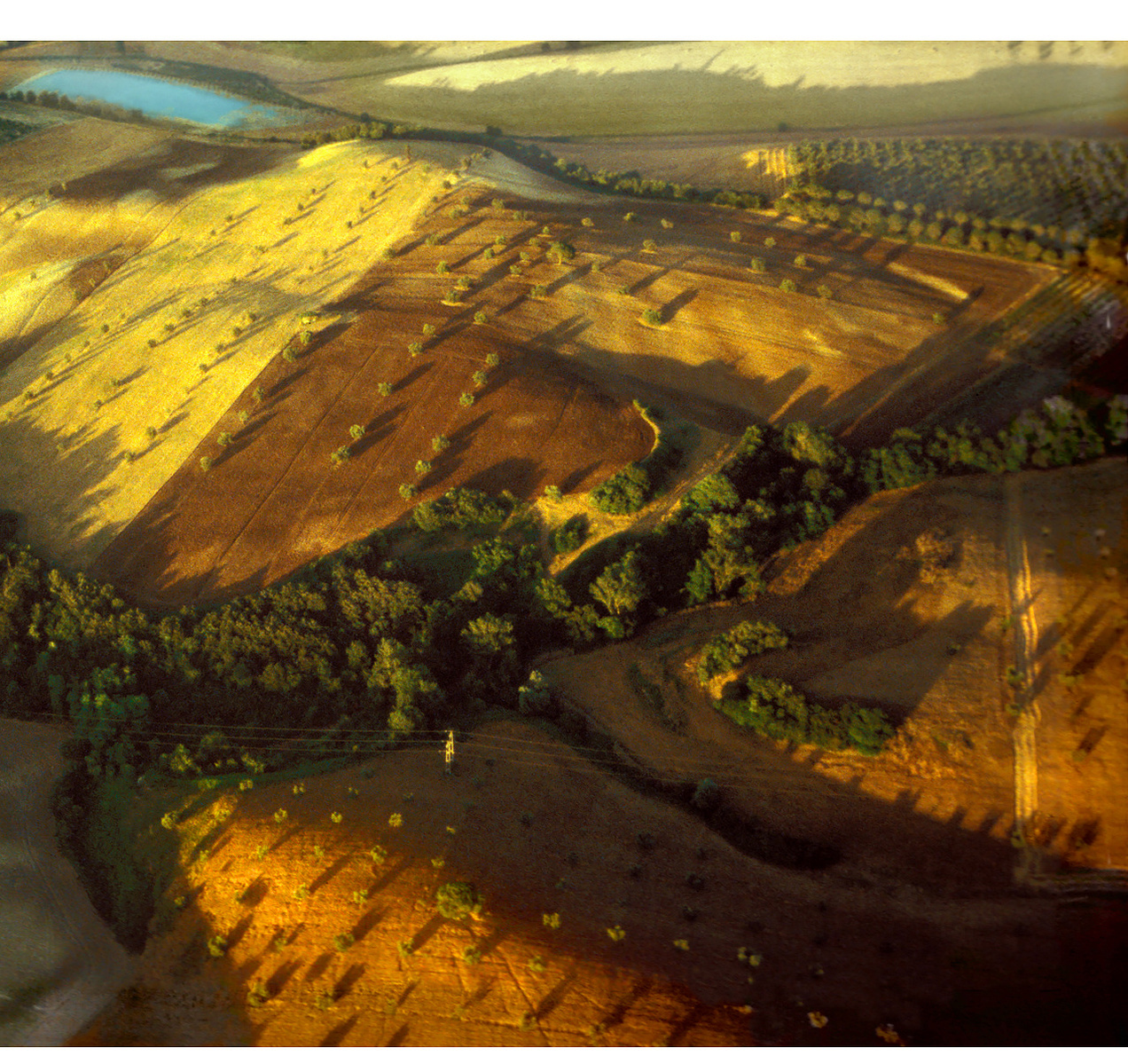 Roman countryside: Rolling hills with cultivated rows.