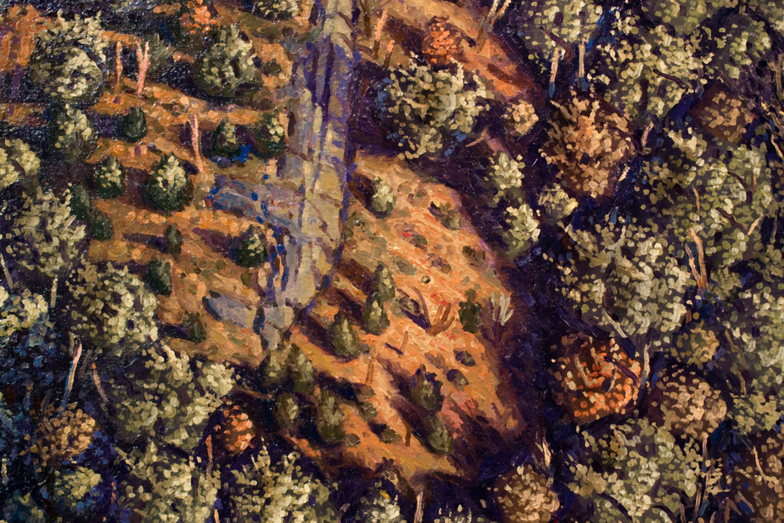 Aerial view of trees on a hillside