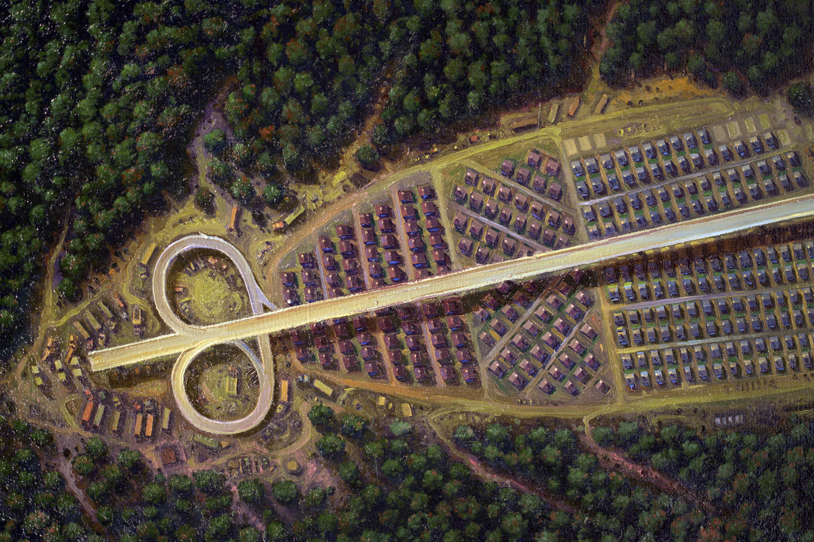 Aerial view of a tract house development imagined as a parasitic infestation.