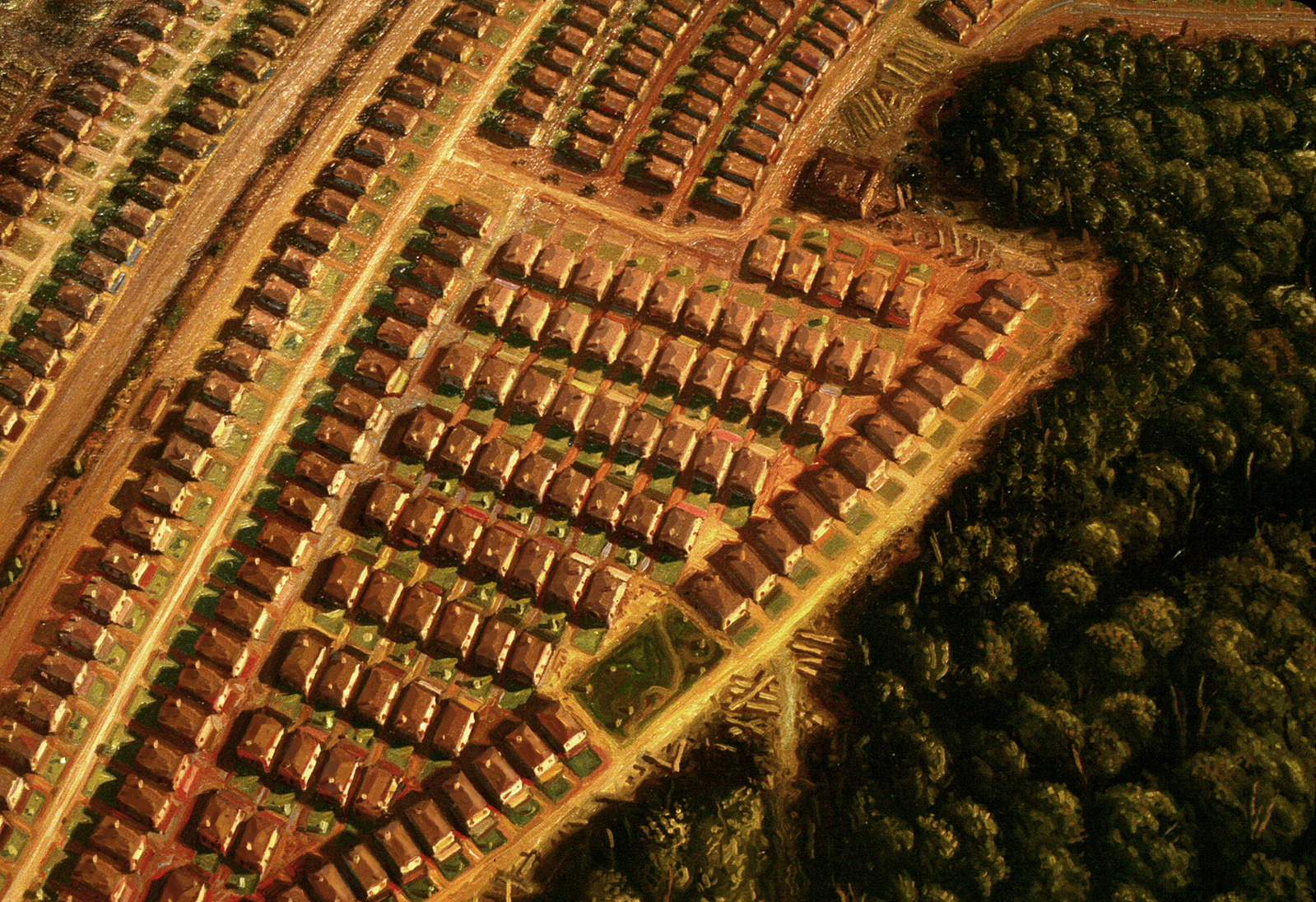 Aerial view of a sprawling tract house development as an invasive, reptilian life form, close-up