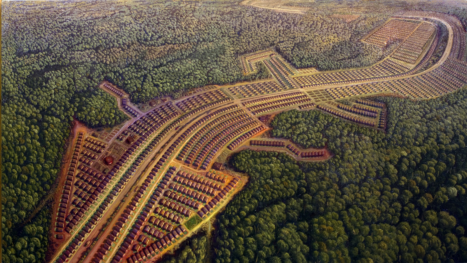 Aerial view of a sprawling tract house development as an invasive, reptilian life form