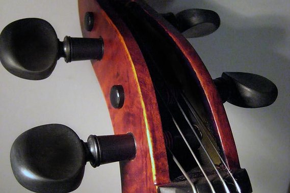 Perfection planetary pegs for cello. Pegheds.