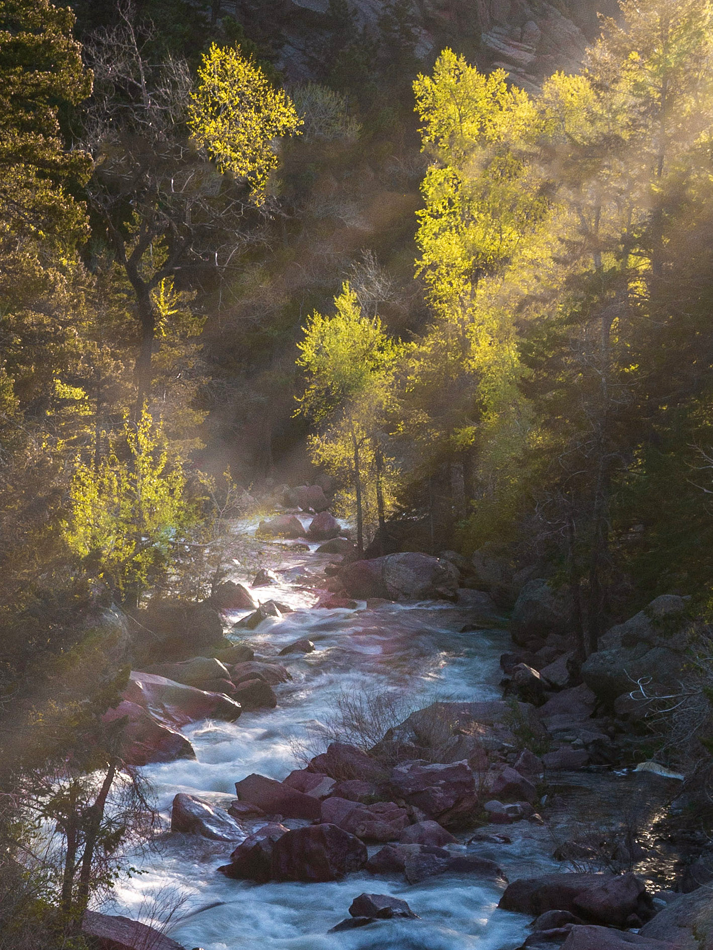Sunrays filtering through the trees onto south boulder creek in eldorado canyon state park