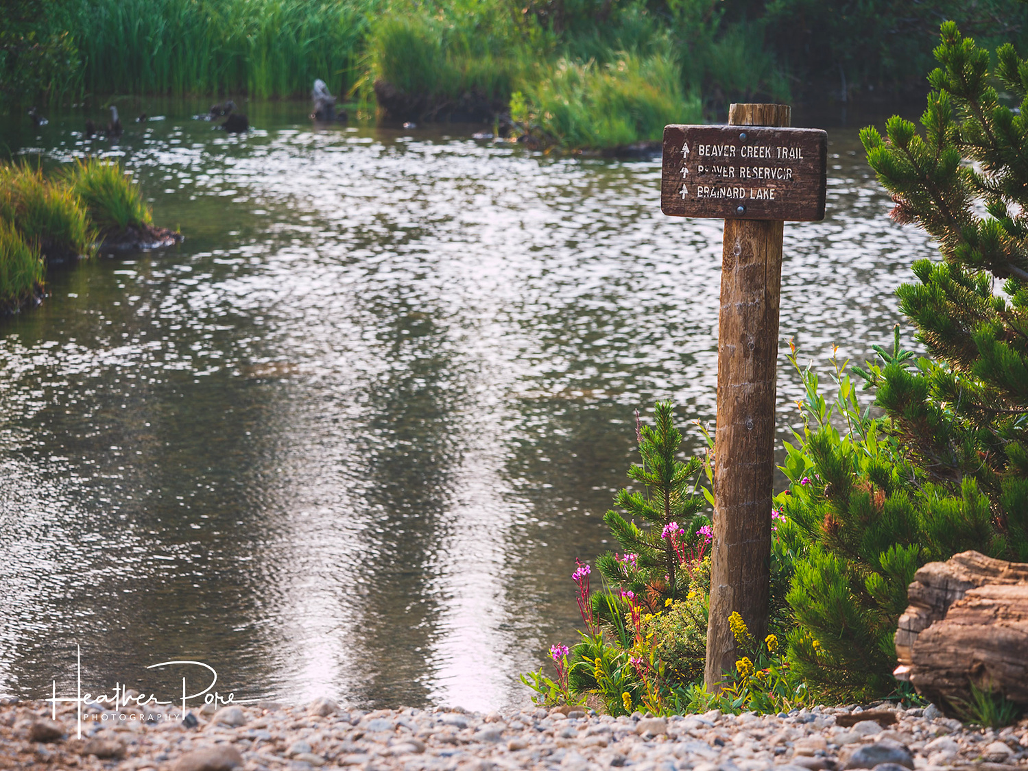 Coney Flats 4x4 road trail sign