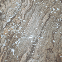 abstract nature photo of the line patters on a rock