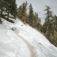 a winding snowy trail, saddle rock trail boulder, colorado