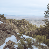 Landscape photograph from the Saddle Rock Trail in boulder, colorado looking north with a bent tree in the foreground and a rock outcropping in the distance