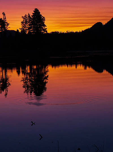 portrait oriented picture of beautiful sunrise colors reflecting in sprague lake, rocky mountain national park.  wall art, gift ideas
