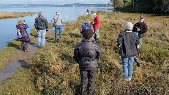Kitsap Photography Guild is the most active and fun photography club in Kitsap County. Here they are at the mouth of Chico Creek, near Silverdale, snapping photos of the yearly chum salmon run.