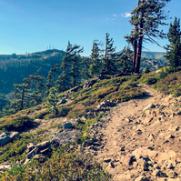 Trailside views along Donner Peak Trail, California