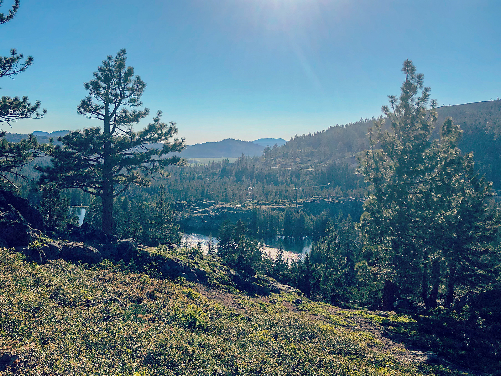 Trailside views along Donner Peak Trail, California