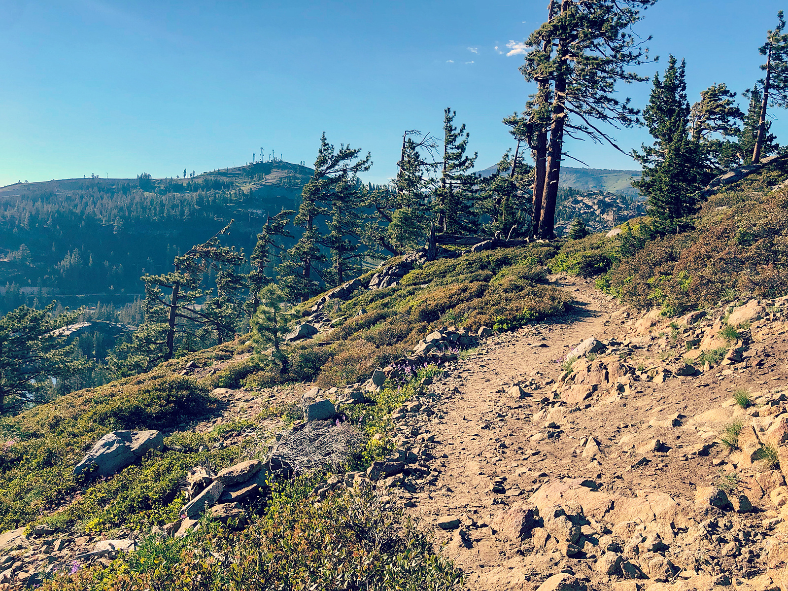 Trailside views along Donner Peak Trail, California