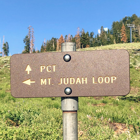 Trail Marker on Donner Peak Trail, California