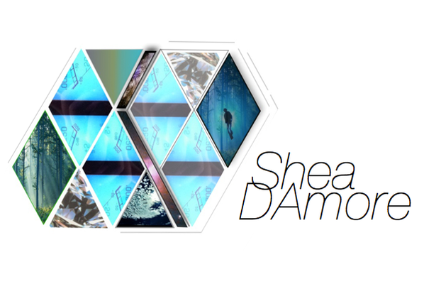 Shea D'amore's Portfolio