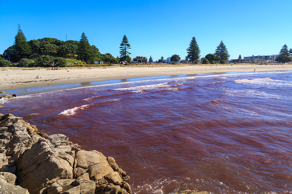Seaweed aquaculture may prevent harmful algal blooms and red tides.