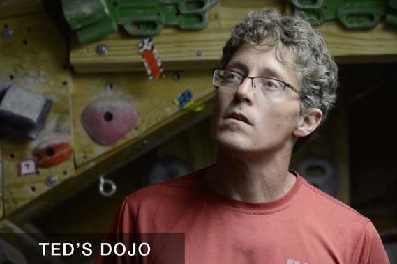 Ted's Dojo