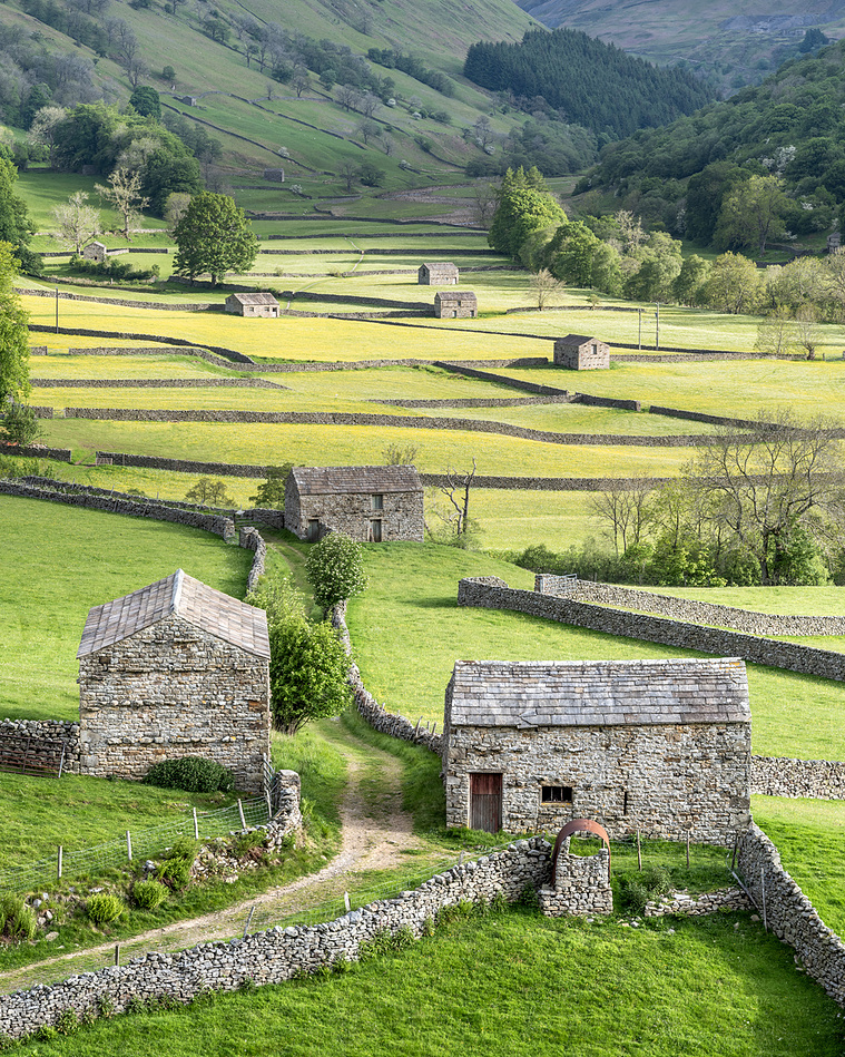 Photograph of field bards and wildflower meadows near Muker, Swaledale