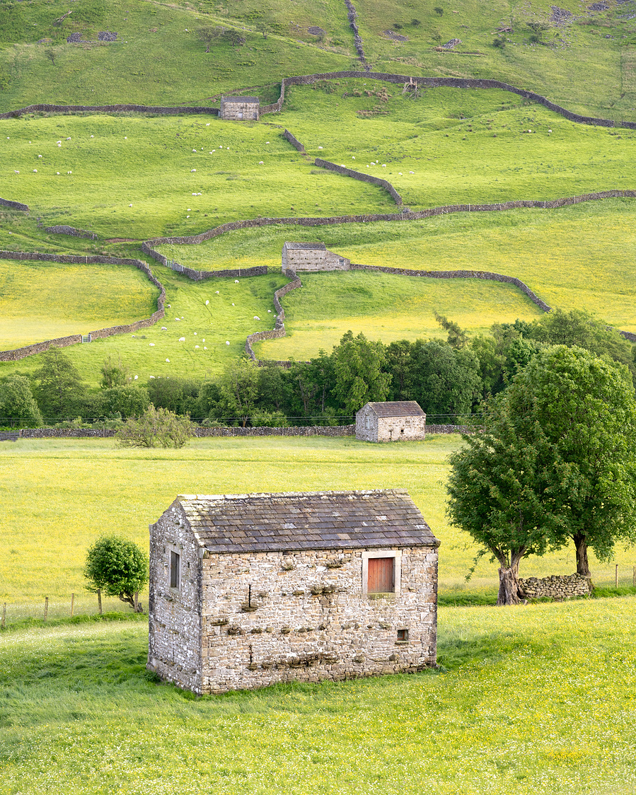 Four field barns set on a fells and meadows near Muker