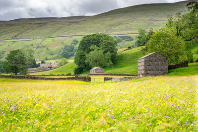 Looking over wildflower meadows towards Muker
