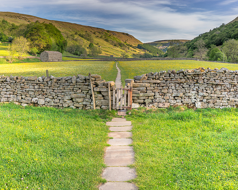 Photograph of a path, gap style and meadows. 
