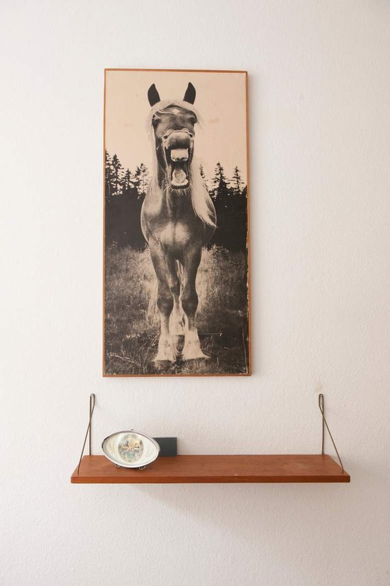 editorial interior photography by Chicago and Los Angeles based photographer Petra Ford