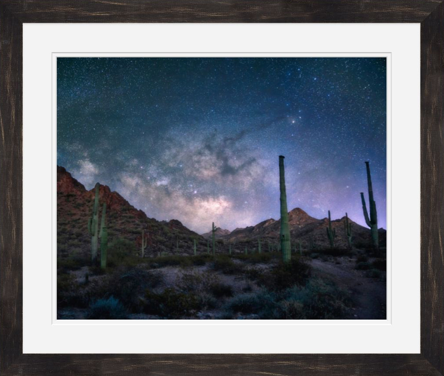 The Milky Way rising over a mountain range with cacti in an Arizona desert landscape