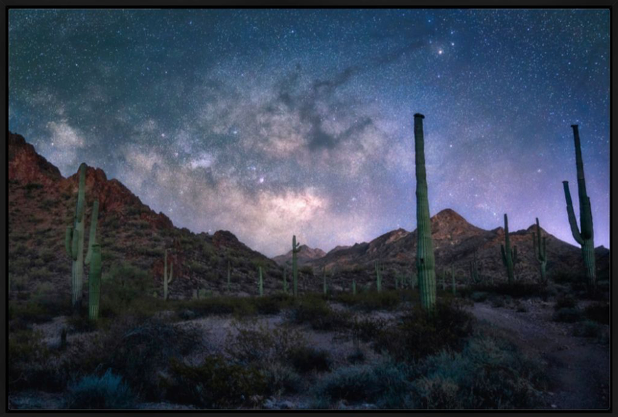 The Milky Way rising over a mountain range with cacti in an Arizona desert landscape