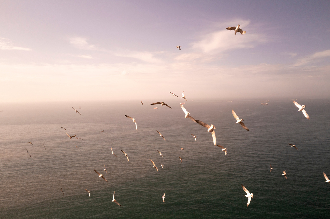 View of the Mediterranean sea from Oran, Algeria.