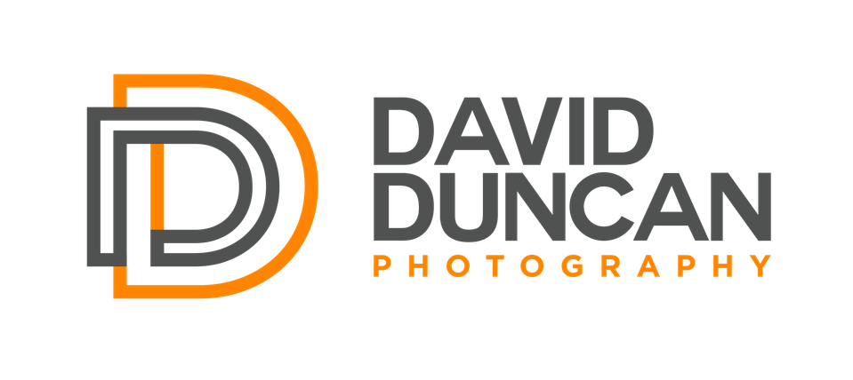 Kingwood Texas Photographer